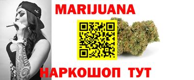 индика Славгород