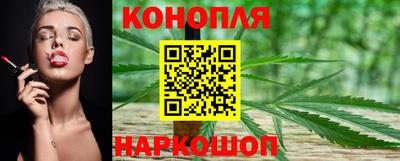 индика Славгород