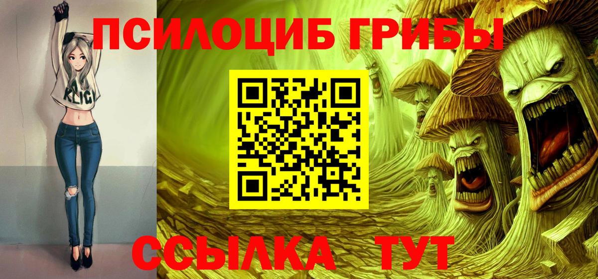 Новочеркасск  Псилоцибиновые грибы Cubensis  Вход с VPN 